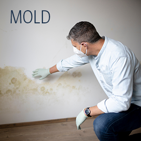 Mold