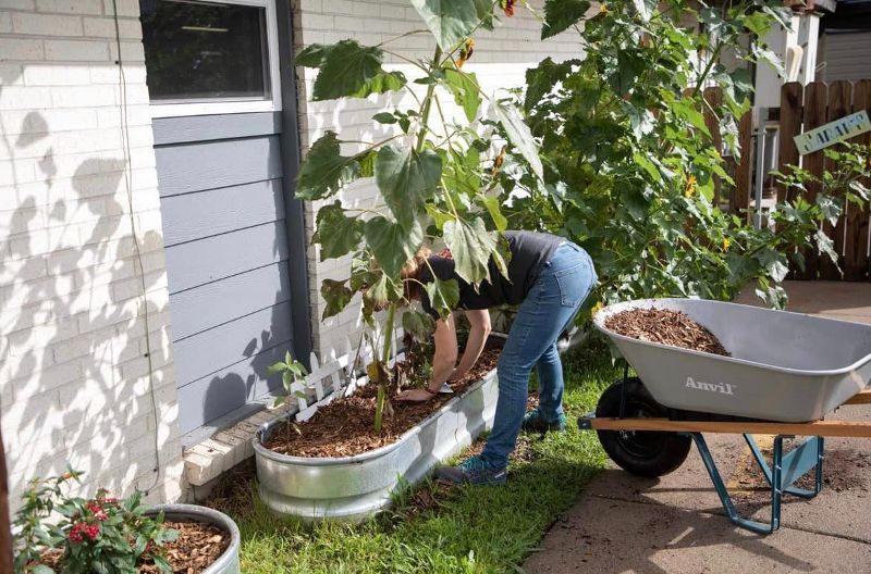 Woman growing vegetables.