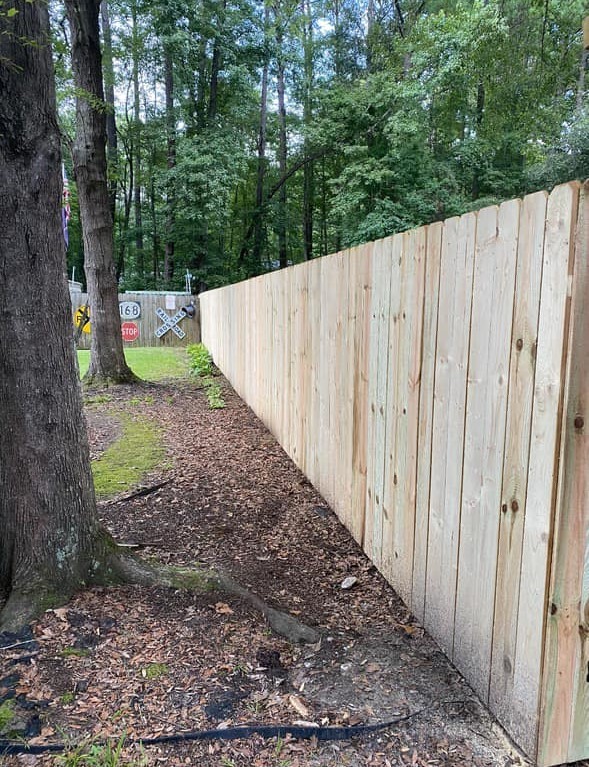 a dog-ear picket fence in yard next to trees