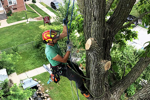 Trimming