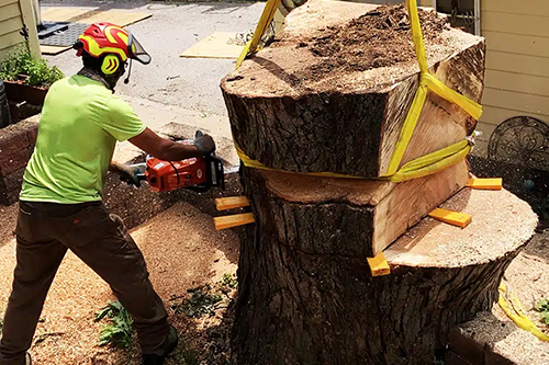 Stump Removal & Grinding