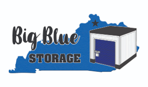 Big Blue Storage Logo 