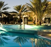 Swimming pool with palm trees