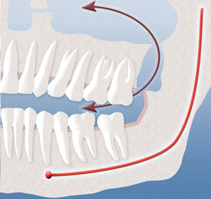 teeth diagram