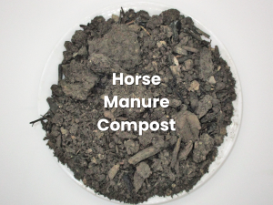 horse manure compost