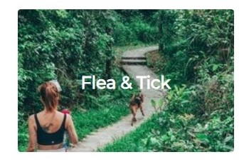 flea and tick