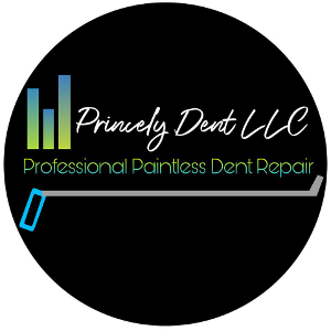 Princely Dent LLC logo