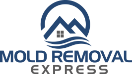 mold express logo