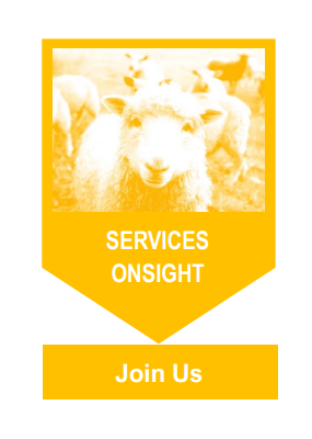 Onsight SErvices