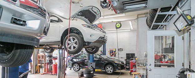 Vehicles on lifts preparing for repair work