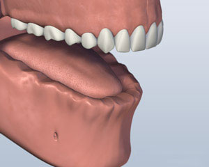 teeth diagram