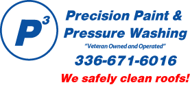 Precision Paint & Pressure Washing logo