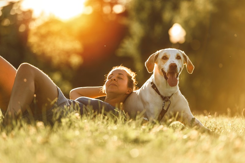 A girl lies down in the grass with a dog.