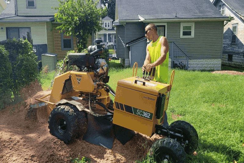 Stump grinding