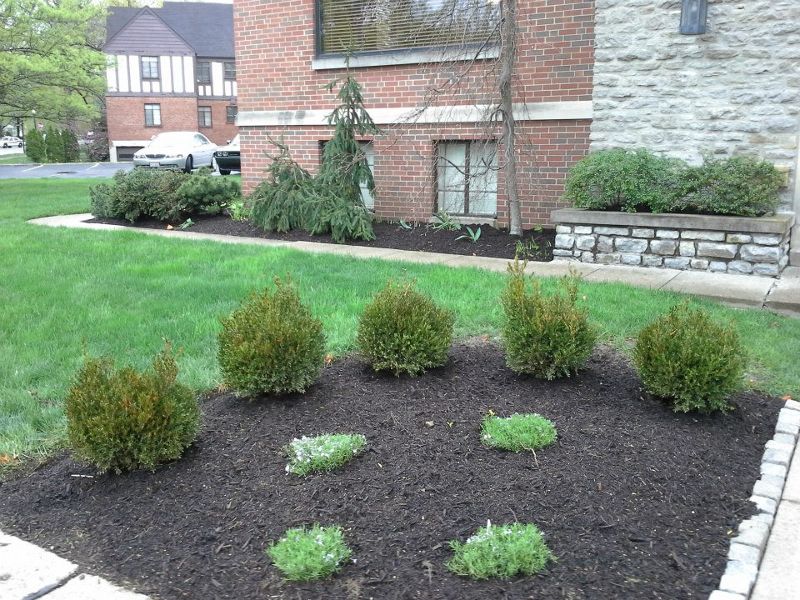 landscaping area in front of a commercial building
