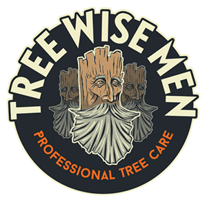 Tree Wise Men logo