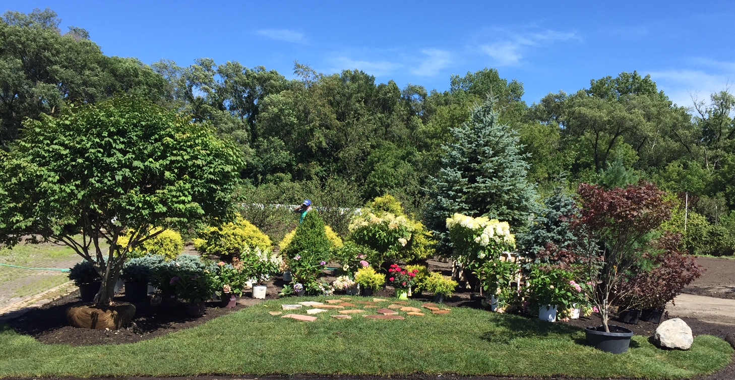 Plant Nursery Near Me | Rolling Hills Nursery