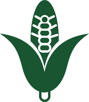 Corn icon