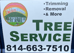 Tree Service with business phone number