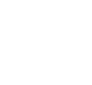 BP&L Executive Fleets logo