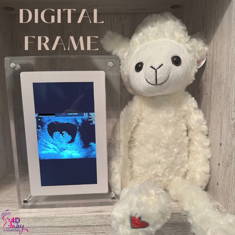 A stuffed lamp next to a digital frame