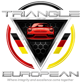 Triangle European Business Logo