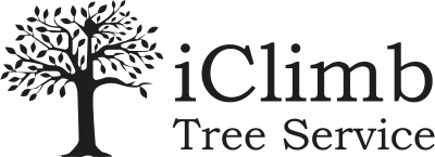 iClimb Tree Service 