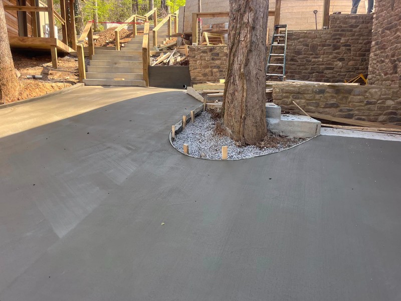 A concrete pad in a back yard surrounds a large tree,