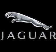 Jaguar logo