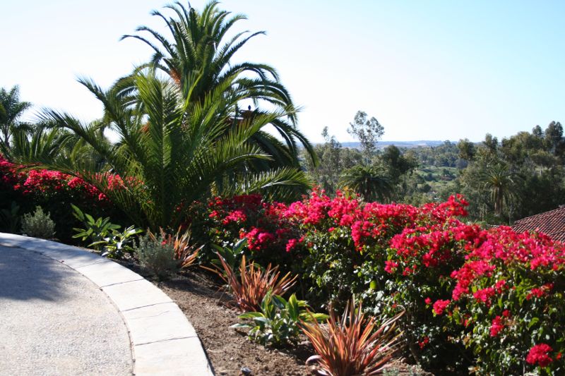 Backyard landscape with paths woven throughout.