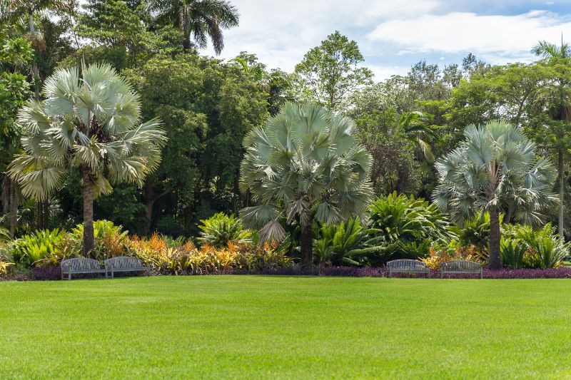 Three palm trees stand proudly in the afternoon sun.