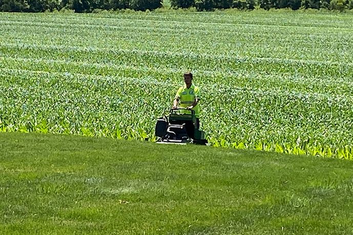 lawn maintenance