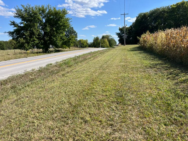 A mowed right-of-way along a roadway next to a corn field.