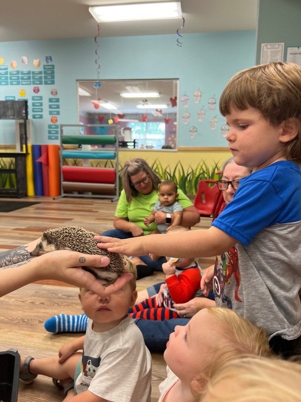 child-care-near-me-all-about-kids-childcare-and-learning-center