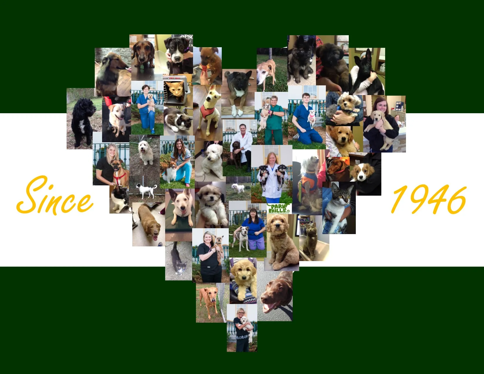 Heart-shaped photo collage for Park Hills Animal Hospital.