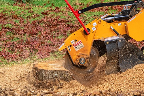 A stump grinder grinds a tree stump.