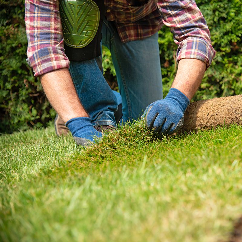 A worker installs turf