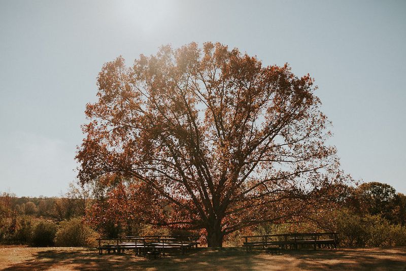 wedding venue image