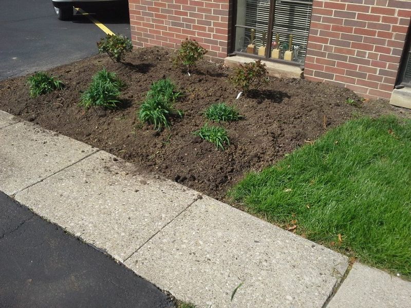 landscaping area in front of a commercial building