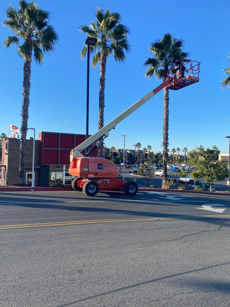 A large lift holds a landscaping crew member as he trims palm trees outside of a commercial space.