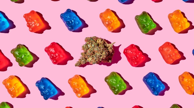 Multi-colored gummy bears and a marijuana bud lie on a pink surface