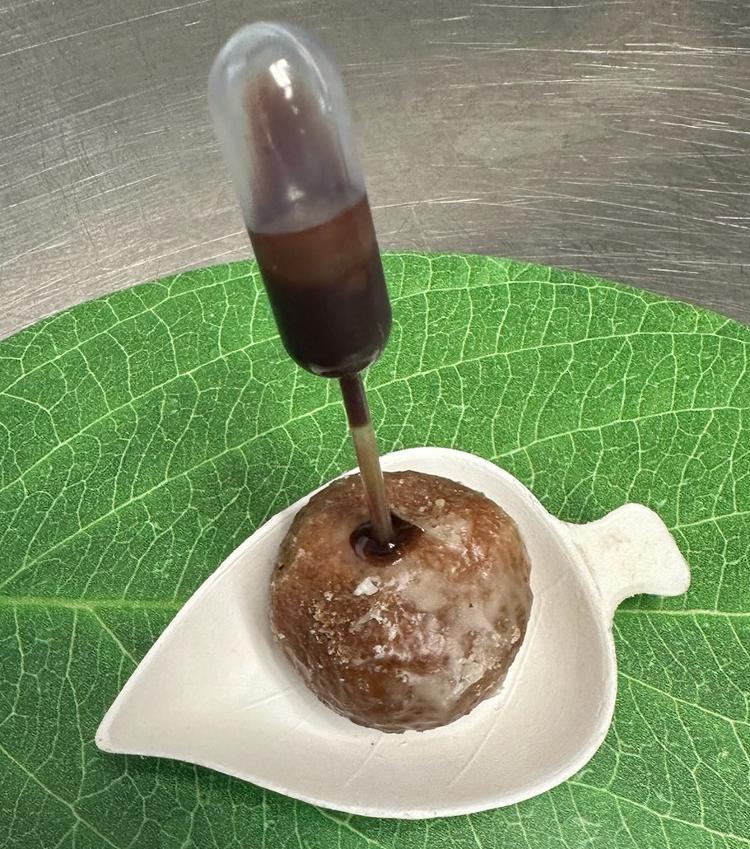 Donut Hole with Pipette