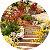 An outdoor brick stairway is lined with colorful flowers on each side.
