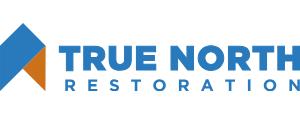 True North Restoration of Savannah logo