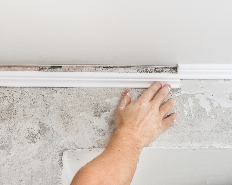 Mold growth underneath crown moulding