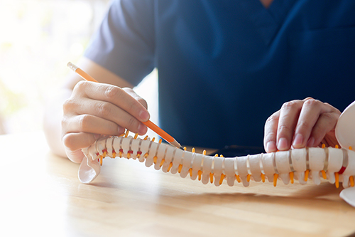 Spine Specialist