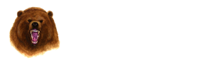 Bear2 Protection, LLC logo
