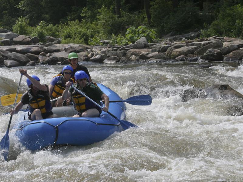 Coworkers paddling their way down a creek in raft.