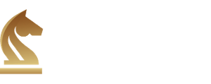 Business Optimization Group logo