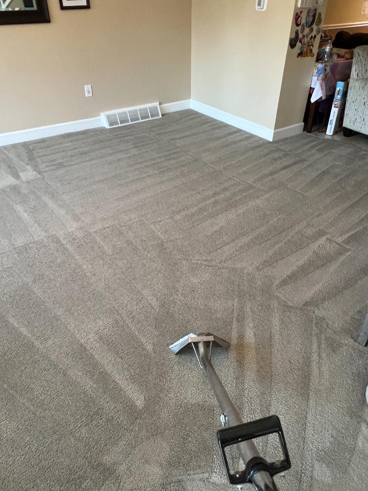 A steam cleaner cleans a freshly cl carpet.